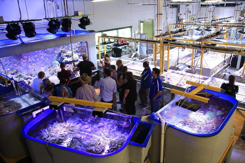 Australian Institute Of Marine Science - Surfers Paradise Gold Coast 0