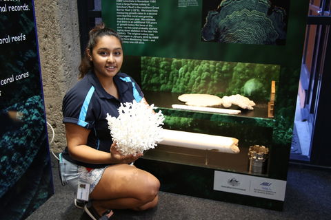 Australian Institute Of Marine Science - Surfers Paradise Gold Coast 2