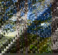 Basin Loop Track - Surfers Paradise Gold Coast