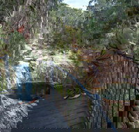 Biamanga National Park - Surfers Paradise Gold Coast