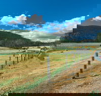 Blackwood River Tourist Drive - Surfers Paradise Gold Coast