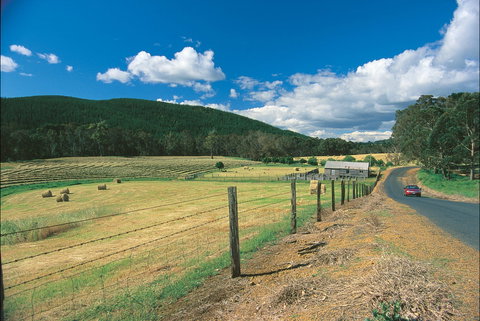 Blackwood River Tourist Drive - Surfers Paradise Gold Coast 0