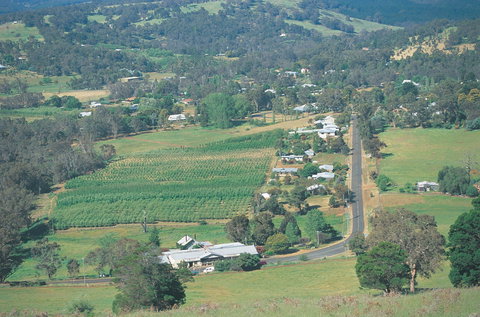 Blackwood River Tourist Drive - Surfers Paradise Gold Coast 1