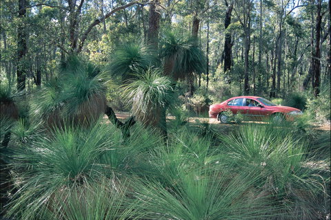 Blackwood River Tourist Drive - Surfers Paradise Gold Coast 2