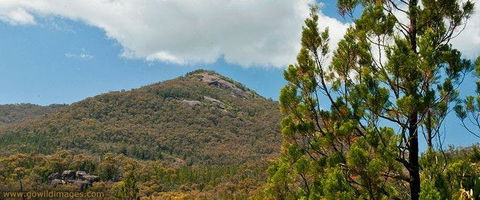 Burrowa-Pine Mountain National Park - Surfers Paradise Gold Coast 0