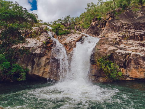 Emerald Creek, Dinden West Forest Reserve - Surfers Paradise Gold Coast 0