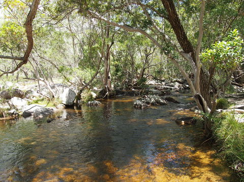 Emerald Creek, Dinden West Forest Reserve - Surfers Paradise Gold Coast 1