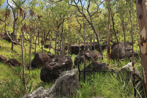 Emerald Creek, Dinden West Forest Reserve - Surfers Paradise Gold Coast 2