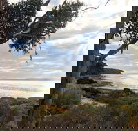 Fish Cannery Walking Trail