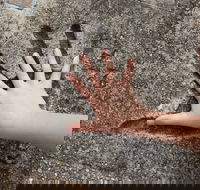 Hands of Fame Park - Surfers Paradise Gold Coast