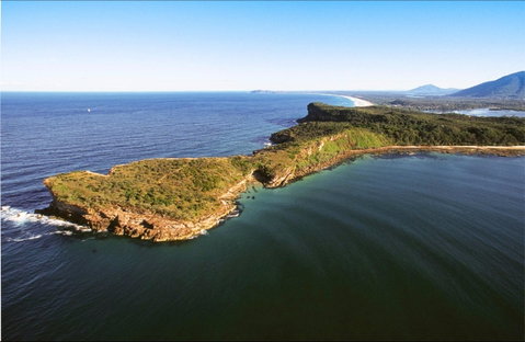 Kattang Nature Reserve - Surfers Paradise Gold Coast 0
