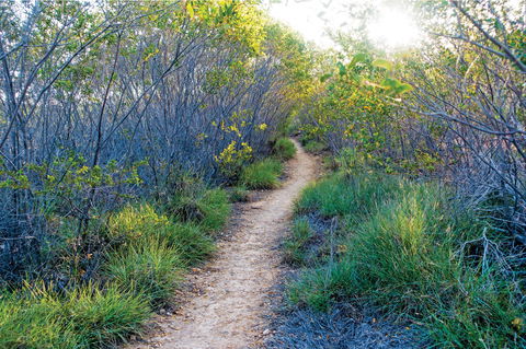 Minerva Hills National Park - Surfers Paradise Gold Coast 2