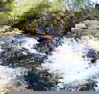 Polblue Falls - Surfers Paradise Gold Coast