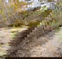 Red Rocks trig walking track - Surfers Paradise Gold Coast