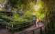 Roma Street Parkland - thumb 2