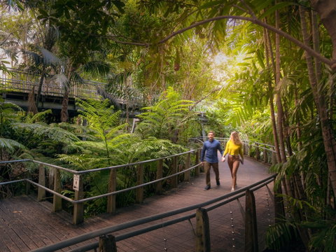 Roma Street Parkland - Surfers Paradise Gold Coast 2