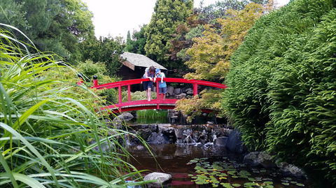 Royal Tasmanian Botanical Gardens - Surfers Paradise Gold Coast 1