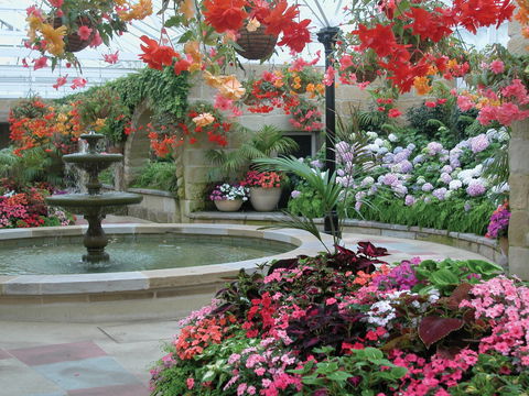Royal Tasmanian Botanical Gardens - Surfers Paradise Gold Coast 2