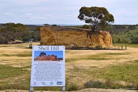 Shell Hill Reserve - Surfers Paradise Gold Coast 0