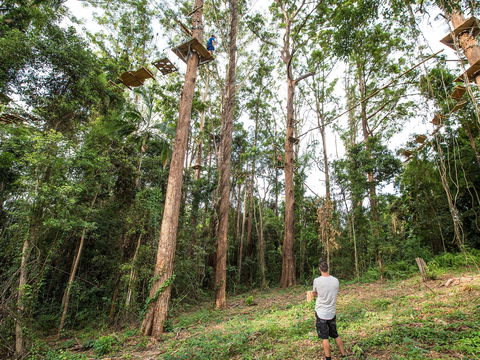 TreeTop Challenge - Sunshine Coast - Surfers Paradise Gold Coast 1