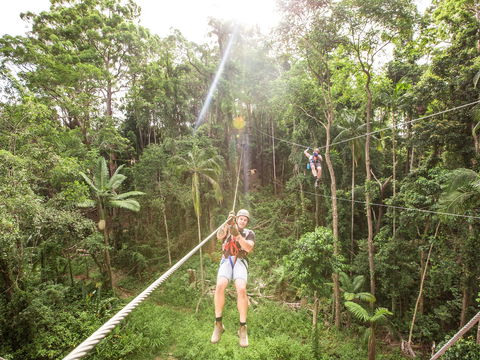 TreeTop Challenge - Sunshine Coast - Surfers Paradise Gold Coast 2