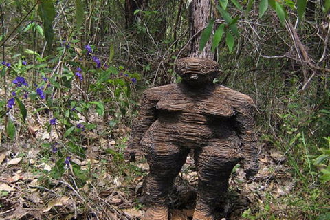 Understory Art In Nature - Surfers Paradise Gold Coast 0