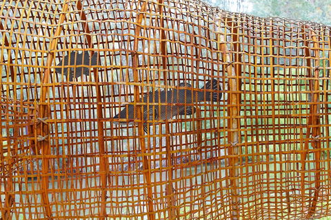 Wagirra Trail And Yindyamarra Sculpture Walk - Surfers Paradise Gold Coast 2