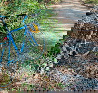 Walter Hood ride from Cudmirrah - Surfers Paradise Gold Coast