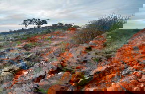 Book North Haven NSW Attractions Surfers Paradise Gold Coast Surfers Paradise Gold Coast