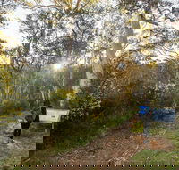 Yarrangobilly Caves  River walk - Surfers Paradise Gold Coast