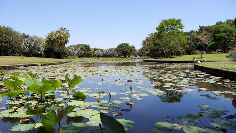 Anderson Park Botanic Gardens - Surfers Paradise Gold Coast 0