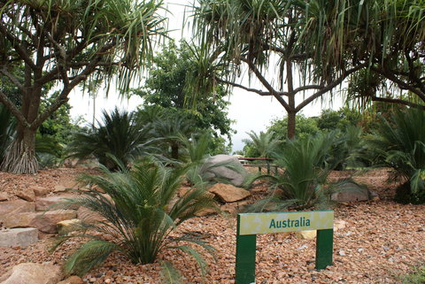 Anderson Park Botanic Gardens - Surfers Paradise Gold Coast 2