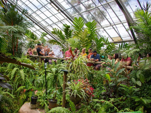 Australian Butterfly Sanctuary - Surfers Paradise Gold Coast 2