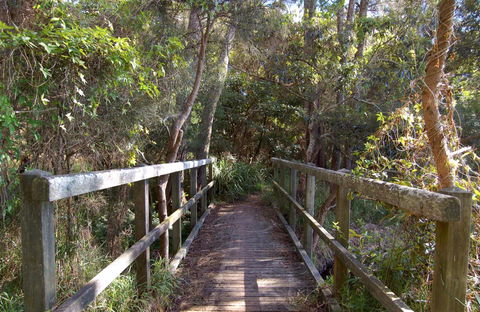 Awaba Bay Foreshore Walk - Surfers Paradise Gold Coast 0