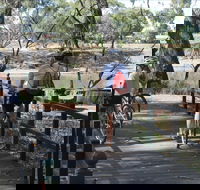 Bidgee Riverside Trail  - Hay Nature Walk - Surfers Paradise Gold Coast