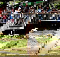 Crocodylus Park and Zoo - Surfers Paradise Gold Coast