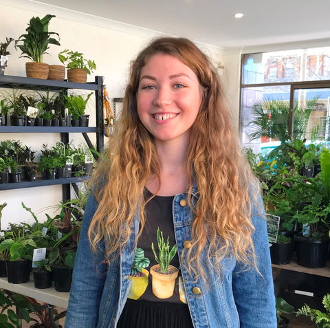 Fancy Plants - Surfers Paradise Gold Coast 2