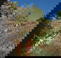 Fortescue Falls - Surfers Paradise Gold Coast