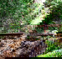 George Brown Darwin Botanic Gardens - Surfers Paradise Gold Coast