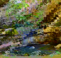 Glimpse of the Outback 5 Day Tour - Roma and Surrounds - Surfers Paradise Gold Coast