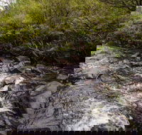 Gloucester River walking track - Surfers Paradise Gold Coast