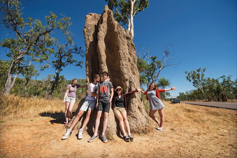 Magnetic Termite Mounds - Surfers Paradise Gold Coast 0
