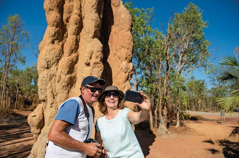 Magnetic Termite Mounds - Surfers Paradise Gold Coast 1