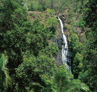 Mapleton Falls National Park - Surfers Paradise Gold Coast