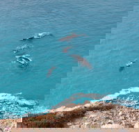 Nullarbor National Park - Surfers Paradise Gold Coast