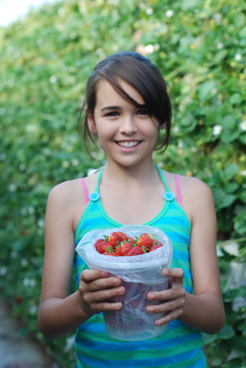Ricardoes Tomatoes And Strawberries Farm, Port Macquarie - Surfers Paradise Gold Coast 0