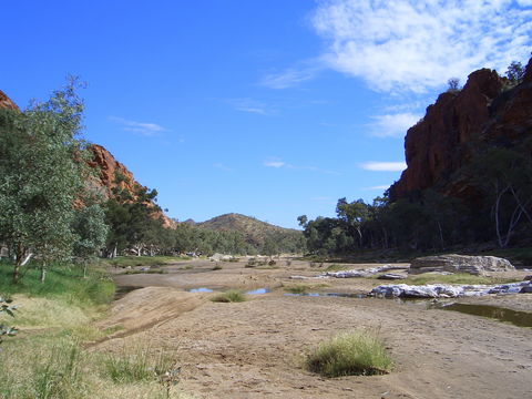 Ruby Gap Nature Park - Surfers Paradise Gold Coast 0