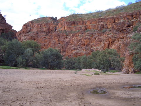 Ruby Gap Nature Park - Surfers Paradise Gold Coast 1