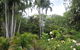 Rum Jungle Mine Manager's House - thumb 2