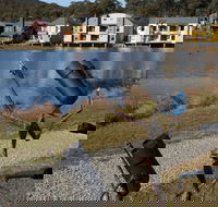 Sculpture Trail at Lake Crackenback Resort and Spa